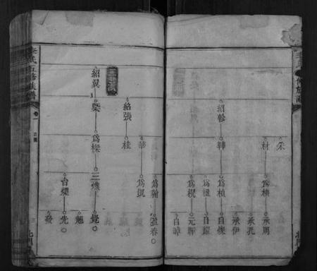 湖南李氏族谱-李氏五修族谱.pdf电子版插图3