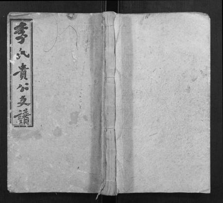 湖南李氏族谱-李氏五修族谱.pdf电子版插图 湖南李氏族谱-李氏五修族谱.pdf电子版插图