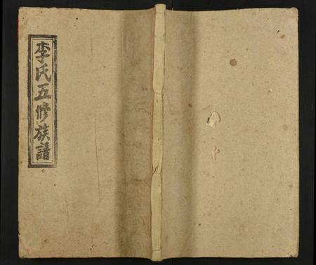 湖南李氏族谱-李氏五修族谱.pdf电子版