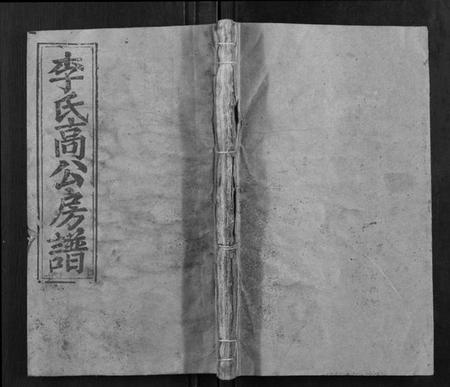 湖南李氏族谱-李氏五修族谱[21卷,首1卷].pdf电子版