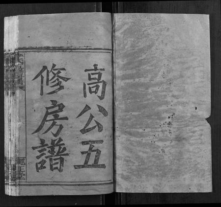 湖南李氏族谱-李氏五修族谱[21卷,首1卷].pdf电子版插图1