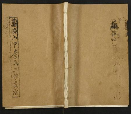 湖南李氏族谱-李氏六修支谱.pdf电子版