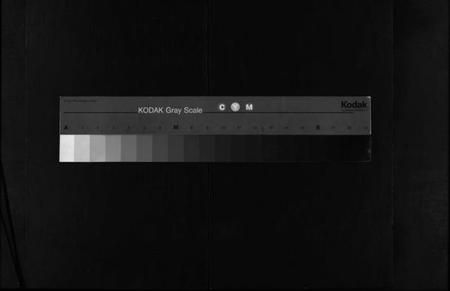 浙江胡氏族谱-东南湖胡氏宗谱 [10册].pdf电子版