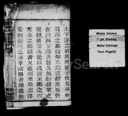 浙江许氏族谱-东安许氏宗谱 [12卷].pdf电子版插图2