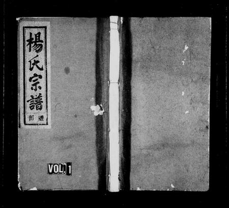 浙江杨氏族谱-东山杨氏宗谱 [6卷].pdf电子版插图1