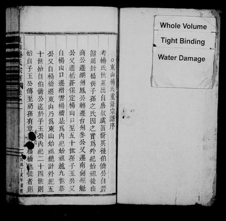 浙江杨氏族谱-东山杨氏宗谱 [6卷].pdf电子版插图2