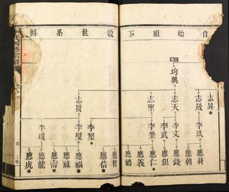 湖南李氏族谱-李氏四修宗谱.pdf电子版插图5