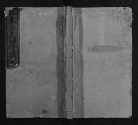 湖南李氏族谱-李氏四修族谱[10卷首末各1卷].pdf电子版