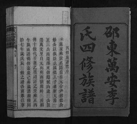 湖南李氏族谱-李氏四修族谱[10卷首末各1卷].pdf电子版插图2