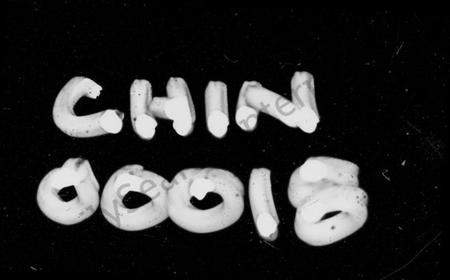 湖南李氏族谱-李氏宗谱 [29卷].pdf电子版插图4