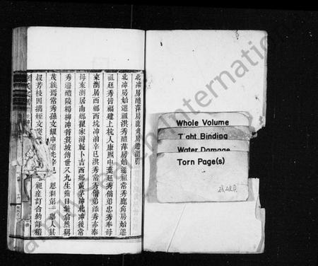 湖南李氏族谱-李氏宗谱 [残卷].pdf电子版插图2