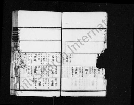 湖南李氏族谱-李氏宗谱 [残卷].pdf电子版插图5