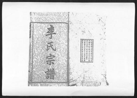 湖南李氏族谱-李氏宗谱[51卷].pdf电子版插图1