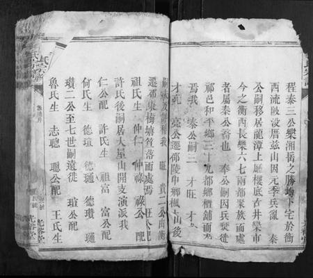 湖南李氏族谱-李氏宗谱[6卷].pdf电子版插图2