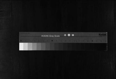 浙江顾氏族谱-东阳吴宁顾氏宗谱 [不分卷].pdf电子版