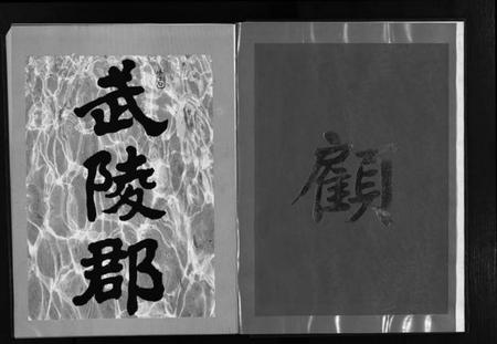 浙江顾氏族谱-东阳吴宁顾氏宗谱 [不分卷].pdf电子版插图3