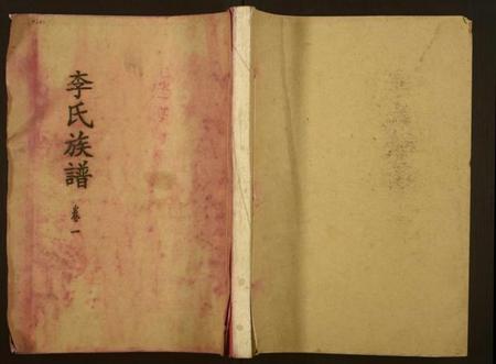 湖南未知族谱-李氏族谱.pdf电子版