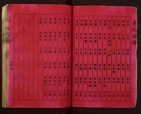 湖南未知族谱-李氏族谱.pdf电子版插图2