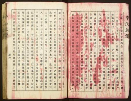 湖南未知族谱-李氏族谱.pdf电子版插图4