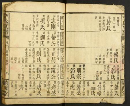 湖南李氏族谱-李氏族谱.pdf电子版插图2