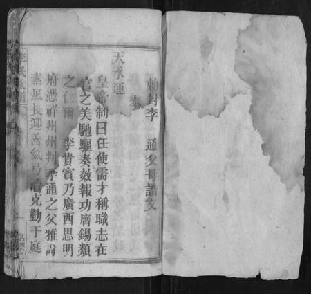 湖南李氏族谱-李氏族谱.pdf电子版插图1