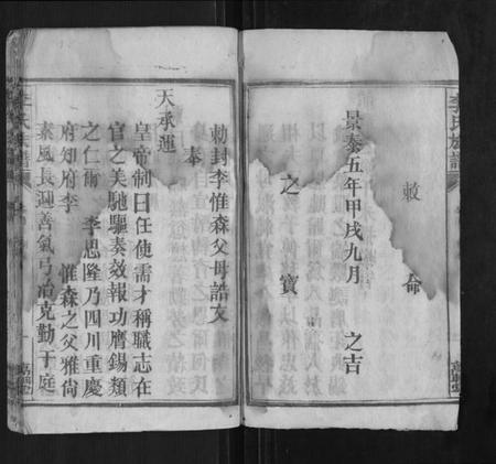 湖南李氏族谱-李氏族谱.pdf电子版插图3