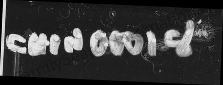 湖南李氏族谱-李氏族谱 [10卷,首1卷].pdf电子版插图1