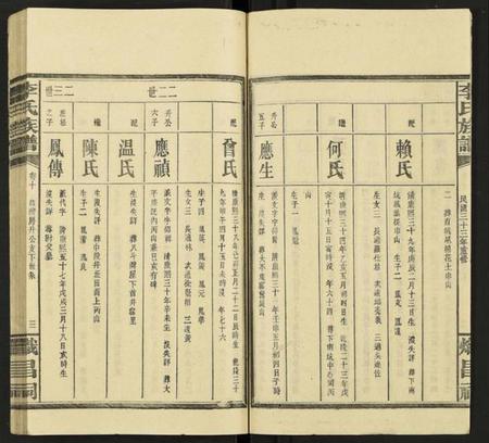 湖南李氏族谱-李氏族谱 [15卷].pdf电子版插图3