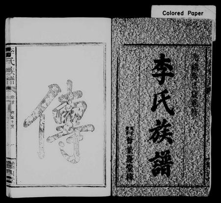 湖南李氏族谱-李氏族谱 [8卷,及卷首].pdf电子版插图2