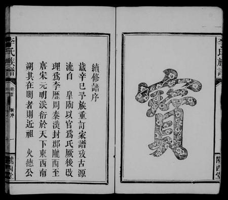 湖南李氏族谱-李氏族谱 [8卷,及卷首].pdf电子版插图5