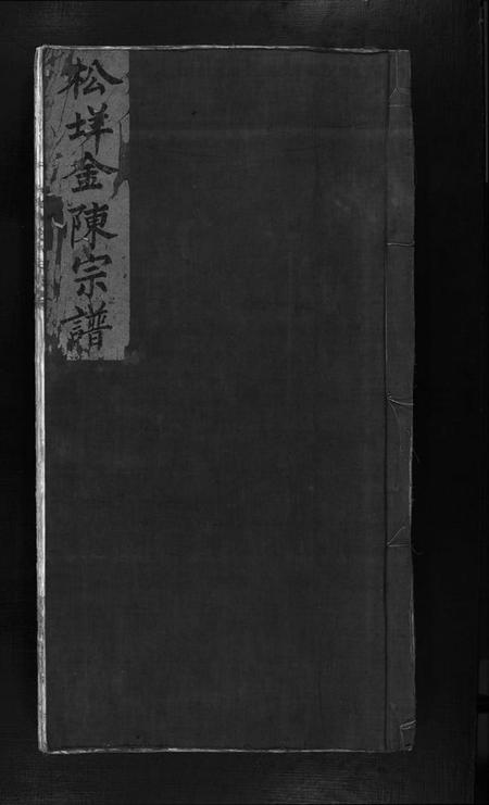 浙江金氏族谱-松垟金氏宗谱 [不分卷].pdf电子版插图1