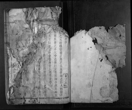 湖南李氏族谱-李氏族谱[不分卷].pdf电子版插图1