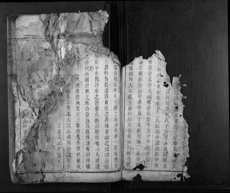 湖南李氏族谱-李氏族谱[不分卷].pdf电子版插图2