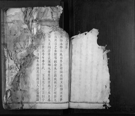 湖南李氏族谱-李氏族谱[不分卷].pdf电子版插图3