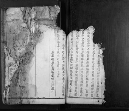 湖南李氏族谱-李氏族谱[不分卷].pdf电子版插图4