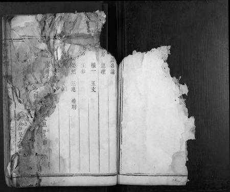 湖南李氏族谱-李氏族谱[不分卷].pdf电子版插图5