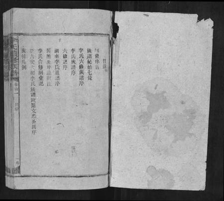 湖南李氏族谱-李氏续修族谱.pdf电子版插图1