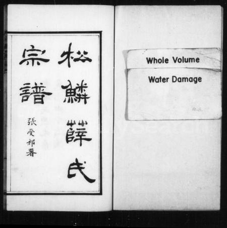 浙江薛氏族谱-松鳞薛氏宗谱 [16卷].pdf电子版插图3