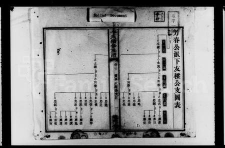 湖南李氏族谱-李氏续修族谱 [残卷].pdf电子版插图2