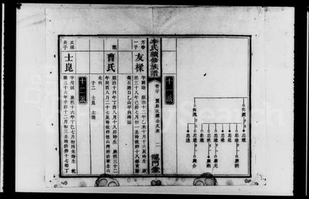 湖南李氏族谱-李氏续修族谱 [残卷].pdf电子版插图3