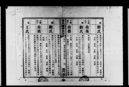 湖南李氏族谱-李氏续修族谱 [残卷].pdf电子版插图5