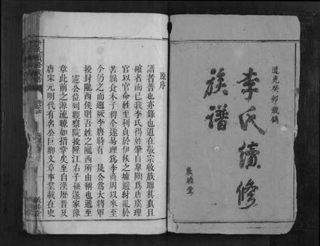 湖南李氏族谱-李氏续修族谱[7卷首1卷].pdf电子版插图1