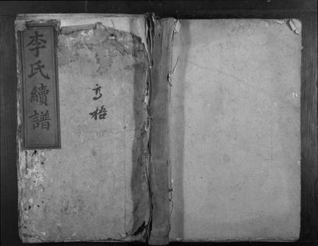 湖南李氏族谱-李氏续谱.pdf电子版