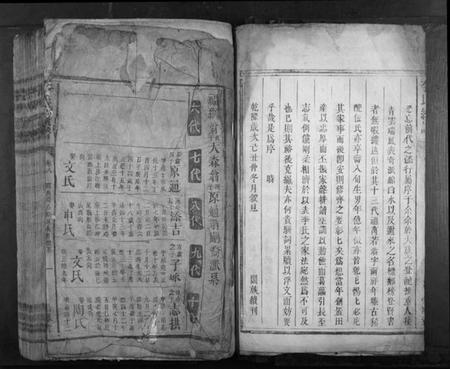 湖南李氏族谱-李氏续谱.pdf电子版插图3