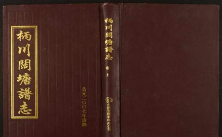 浙江陈氏族谱-柄川阔塘谱志.pdf电子版插图 浙江陈氏族谱-柄川阔塘谱志.pdf电子版插图