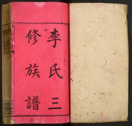 湖南李氏族谱-潭府李氏三修族谱.pdf电子版插图1