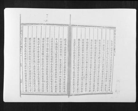 江西洪氏族谱-赤塘洪氏宗谱.pdf电子版插图2