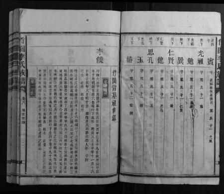 湖南李氏族谱-竹林李氏族谱.pdf电子版插图2 湖南李氏族谱-竹林李氏族谱.pdf电子版插图2