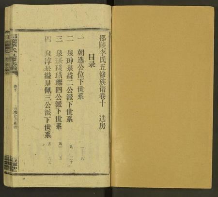 湖南李氏族谱-邵陵李氏五修族谱 [14卷].pdf电子版插图1