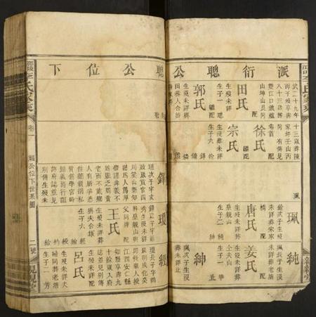 湖南李氏族谱-邵陵江口李氏家乘.pdf电子版插图2